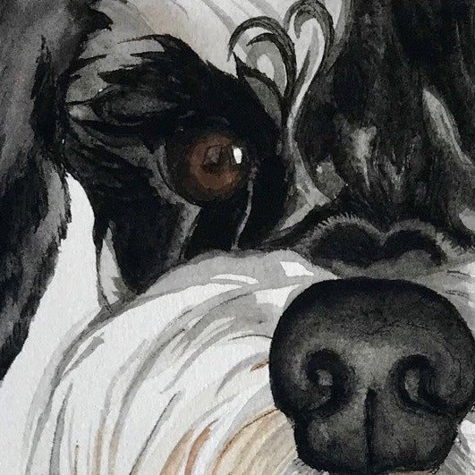 Detail of a painted watercolour portrait of a Miniature Schnauzer dog